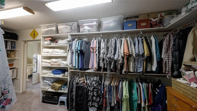 spacious closet featuring carpet