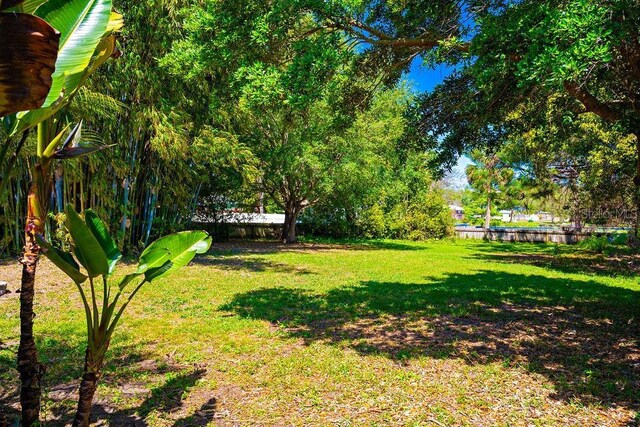 2501 Weber St, Orlando, FL 32803 - photo 7