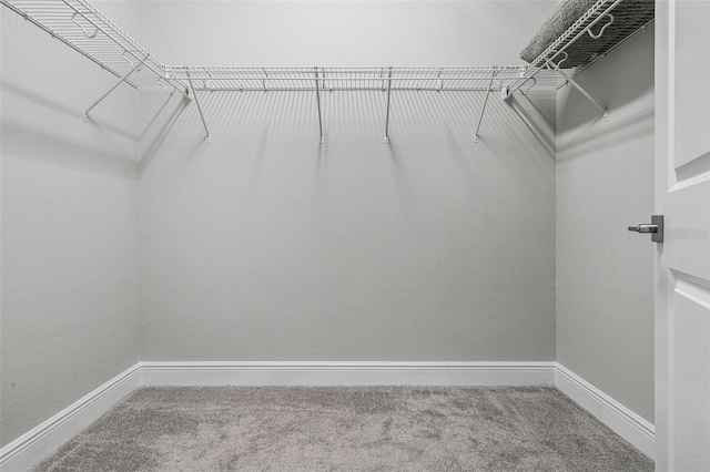 spacious closet with carpet floors