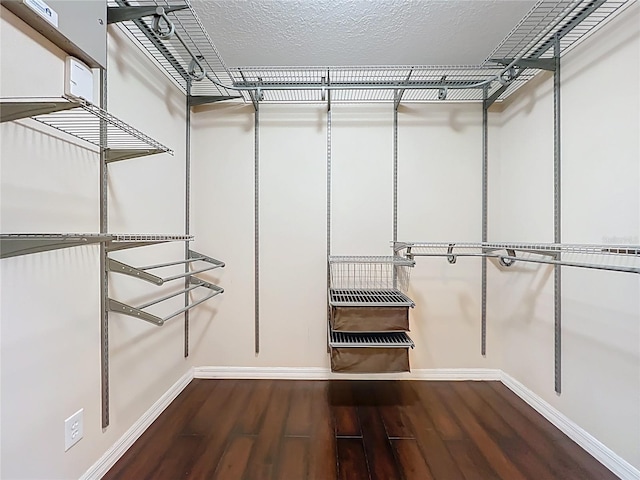 spacious closet featuring wood finished floors