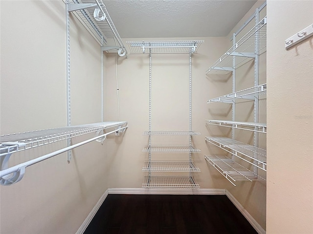 spacious closet featuring wood finished floors