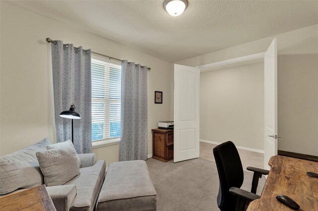 3259 Buoy Cir, Winter Garden, FL 34787 - home office with baseboards, light carpet, and a textured ceiling