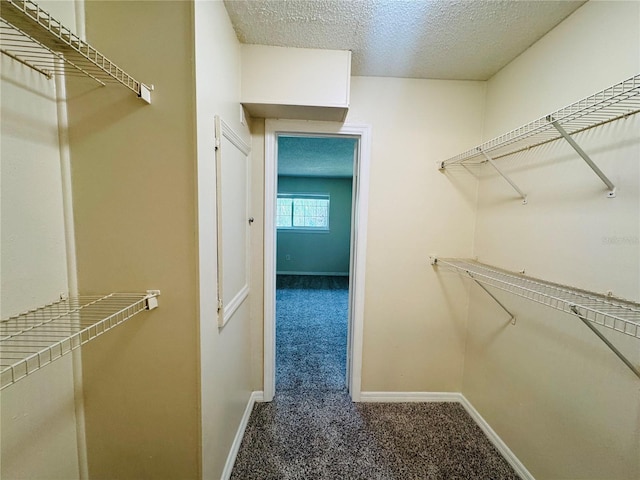 1695 Lee Rd Unit E214, Winter Park, FL 32789 - spacious closet featuring carpet floors