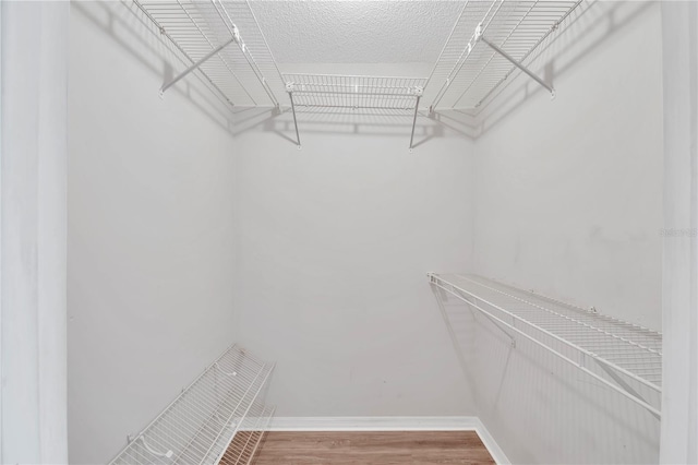 6366 SW 115th Street Rd, Ocala, FL 34476 - spacious closet with wood finished floors