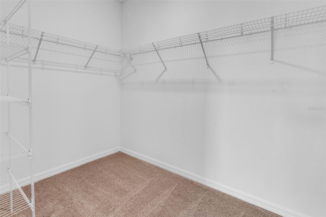 10008 Last Light Gln, Parrish, FL 34219 - spacious closet featuring carpet