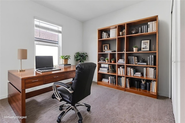 10008 Last Light Gln, Parrish, FL 34219 - office space with carpet and baseboards