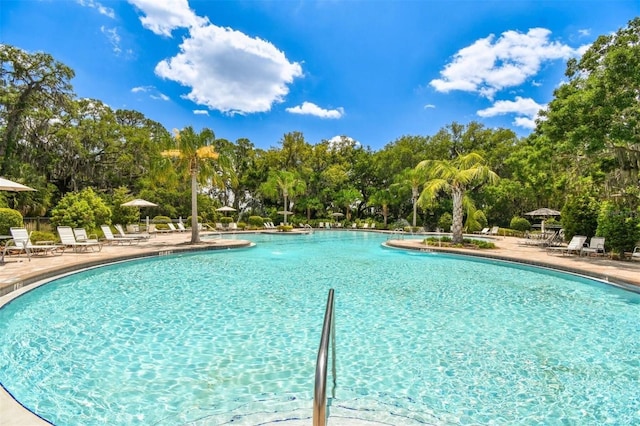 10008 Last Light Gln, Parrish, FL 34219 - community pool featuring view of wooded area and a patio