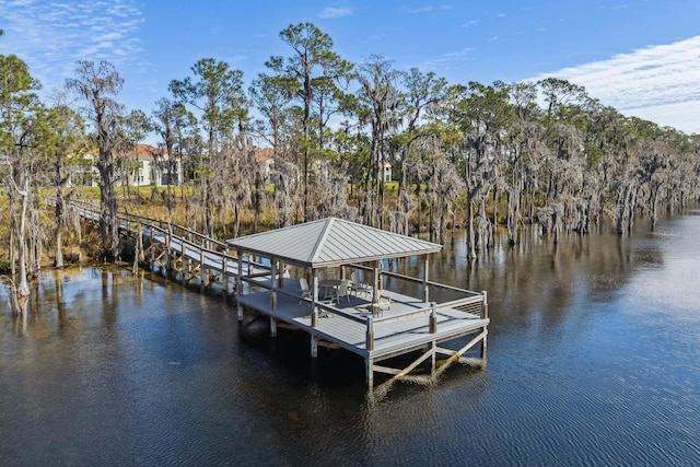 dock area with a water view