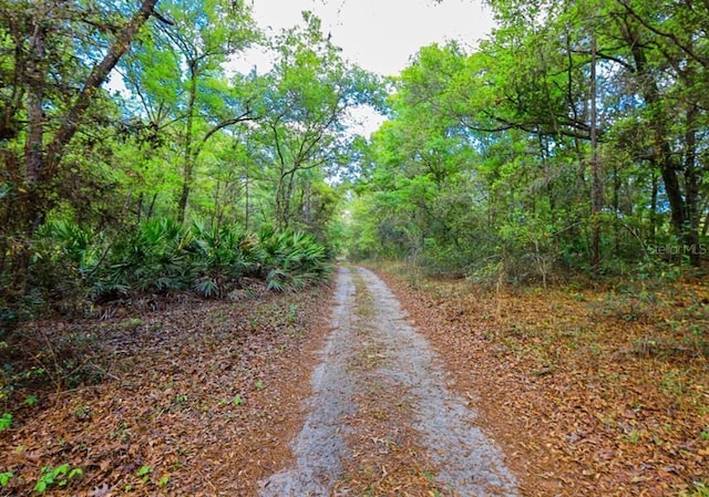 7615 W Rainbow St, Dunnellon, FL 34433 - photo 1