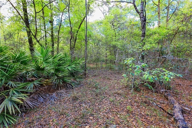 7615 W Rainbow St, Dunnellon, FL 34433 - photo 2