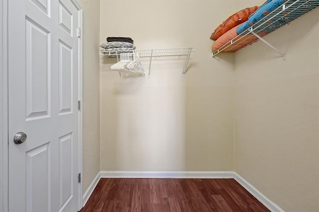 spacious closet with dark wood-type flooring