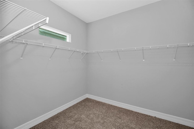 13 Knotwood Ln, Homosassa, FL 34446 - photo 20