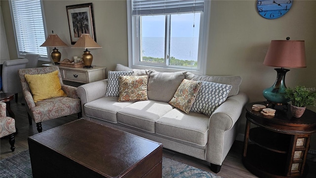 living area with dark wood-style flooring