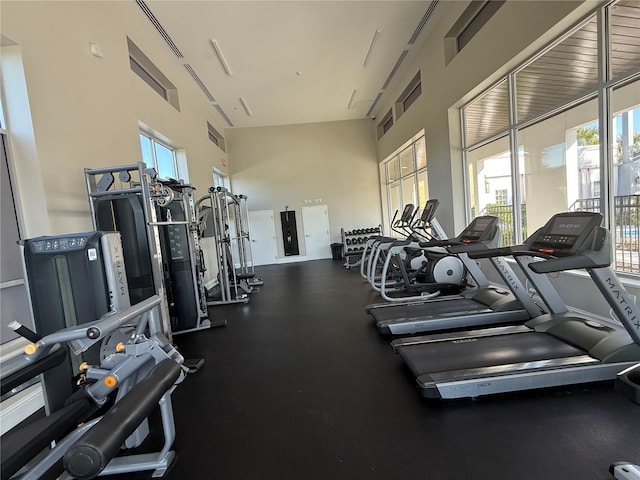 workout area featuring plenty of natural light and a towering ceiling