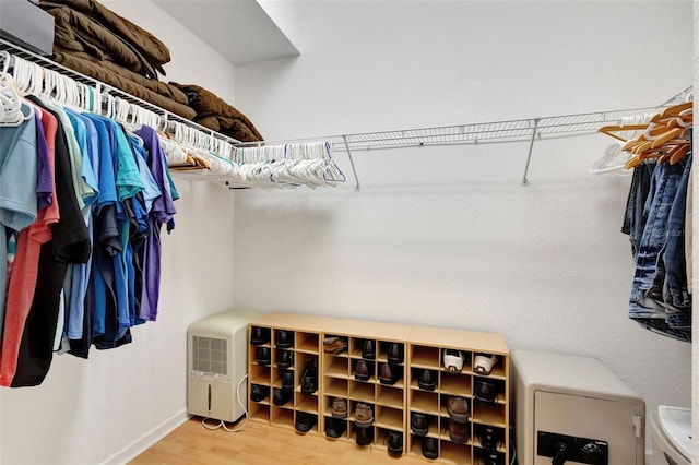 spacious closet featuring wood finished floors