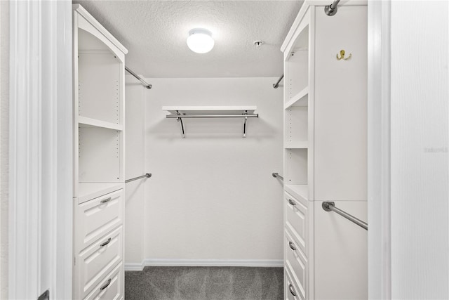 2700 N Peninsula Ave Unit 215, New Smyrna Beach, FL 32169 - walk in closet featuring dark carpet