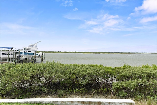 2700 N Peninsula Ave Unit 215, New Smyrna Beach, FL 32169 - property view of water featuring boat lift and a dock