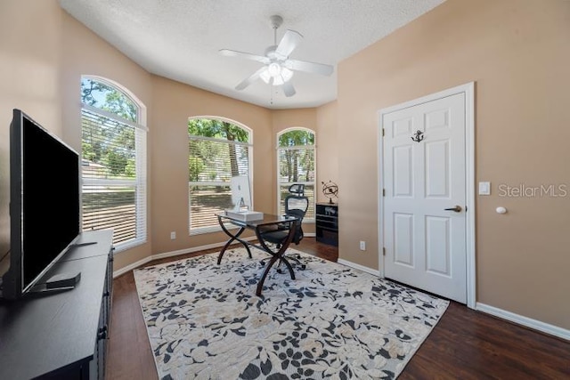 2082 Nexus Ct, Apopka, FL 32712 - home office with ceiling fan, wood finished floors, healthy amount of natural light, baseboards, and a textured ceiling