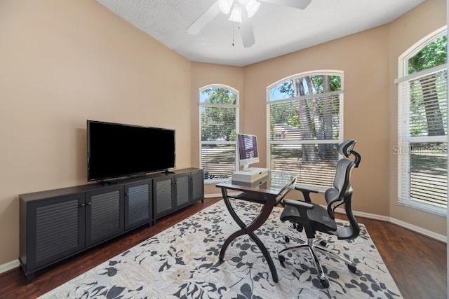 2082 Nexus Ct, Apopka, FL 32712 - office area with plenty of natural light, dark wood finished floors, a ceiling fan, and baseboards