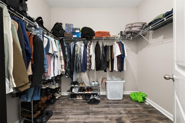 236 Pink Ibis Bnd, Saint Cloud, FL 34772 - spacious closet with wood finished floors