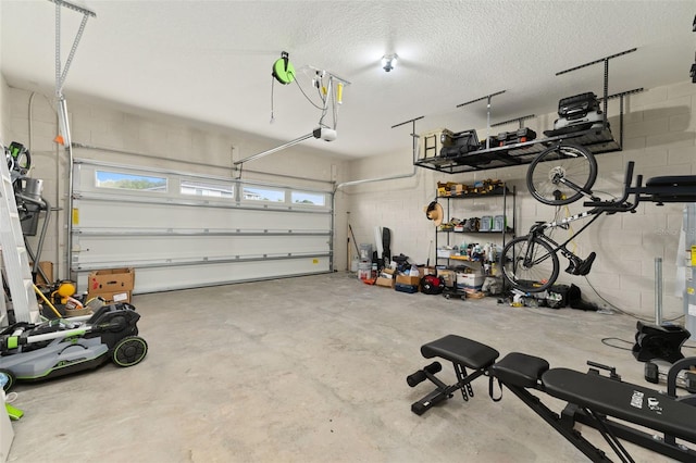 236 Pink Ibis Bnd, Saint Cloud, FL 34772 - garage featuring concrete block wall and a garage door opener
