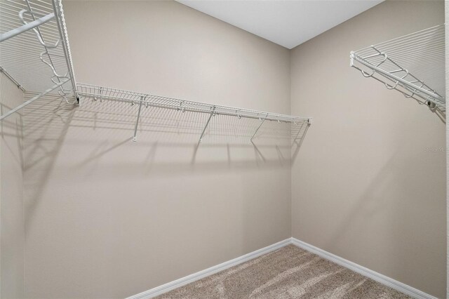 690 Blue Citrus Ln, Minneola, FL 34715 - photo 21