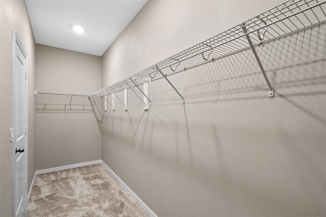 690 Blue Citrus Ln, Minneola, FL 34715 - photo 22
