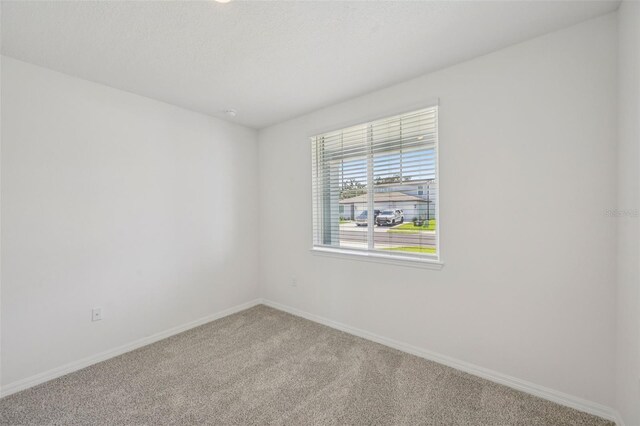 13839 Richland Gulf Cir, Parrish, FL 34219 - photo 20