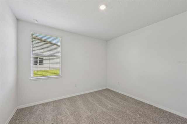 13839 Richland Gulf Cir, Parrish, FL 34219 - photo 25