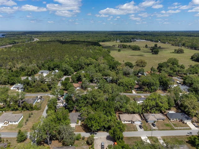 1686 17th St, Orange City, FL 32763 - photo 48