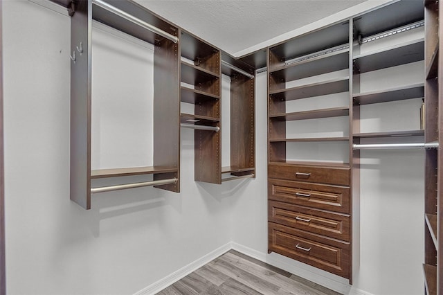 spacious closet featuring light wood-style flooring