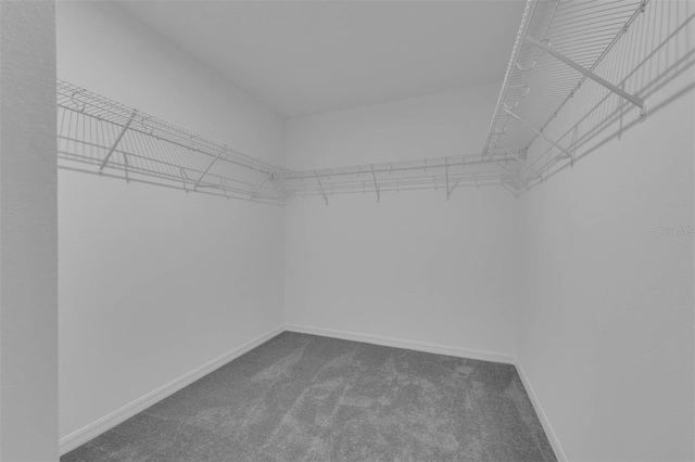 spacious closet with dark carpet