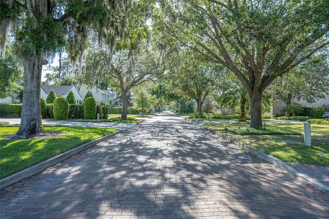1661 Woodland Ave, Winter Park, FL 32789 - view of street featuring curbs