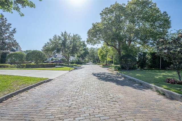 1661 Woodland Ave, Winter Park, FL 32789 - view of road featuring curbs