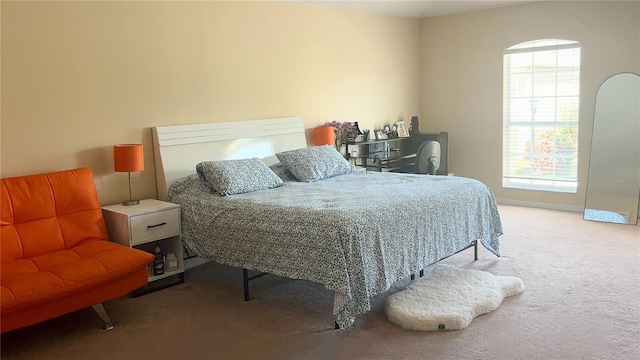 bedroom featuring carpet floors and multiple windows