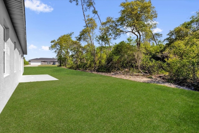 15823 SW 27th Avenue Rd, Ocala, FL 34473 - view of yard