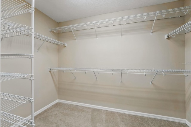walk in closet featuring carpet flooring