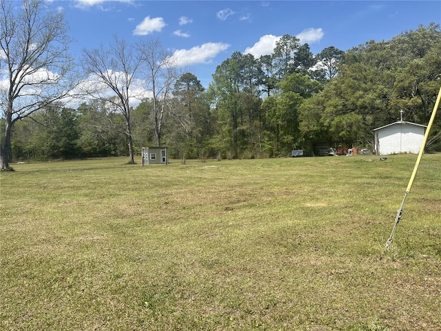 1968 Lewis Rd, Bonifay, FL 32425 - photo 14