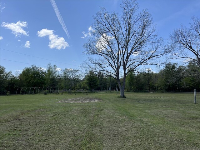 1968 Lewis Rd, Bonifay, FL 32425 - photo 15