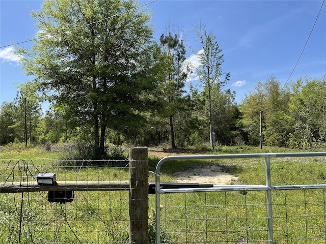 1968 Lewis Rd, Bonifay, FL 32425 - photo 17