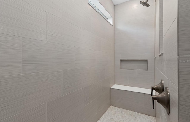 2741 Serenity Meadow Dr, Kissimmee, FL 34744 - full bath featuring a tile shower and tile walls