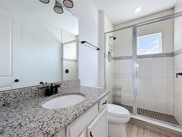 full bath featuring vanity, toilet, and a stall shower