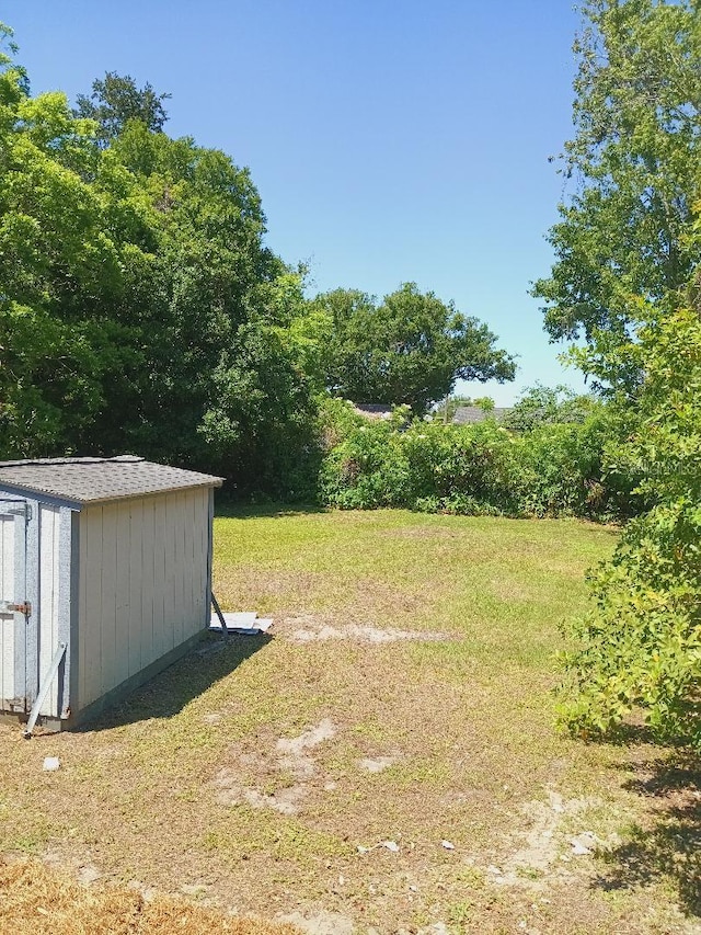 view of yard featuring a storage unit and an outbuilding
