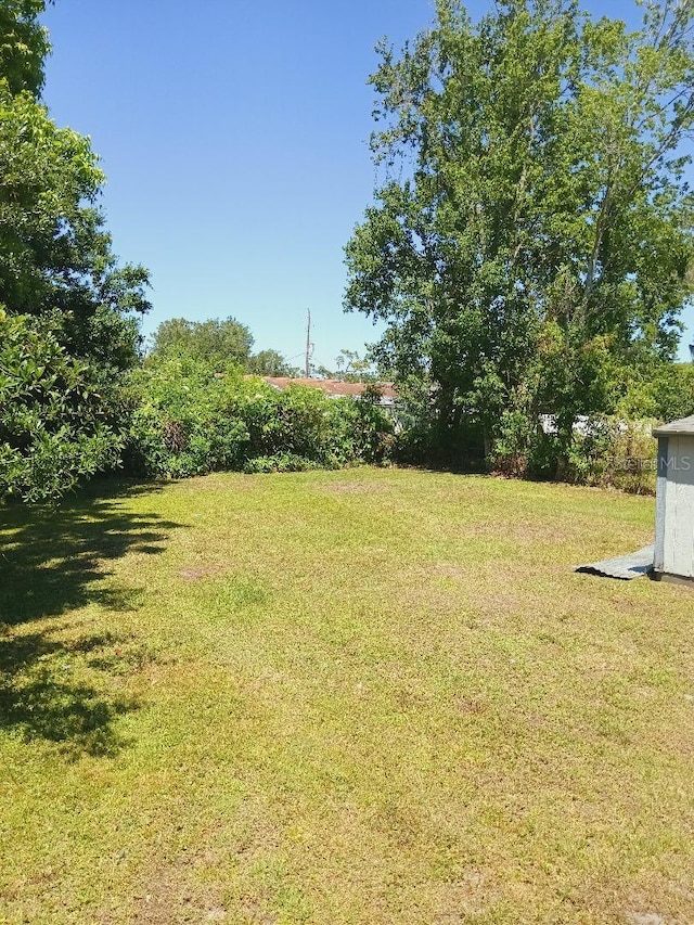 view of yard