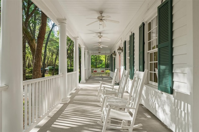4000 Rouse Rd, Orlando, FL 32817 - unfurnished sunroom featuring ceiling fan and carpet floors