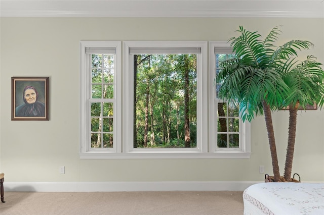 4000 Rouse Rd, Orlando, FL 32817 - interior space featuring crown molding, carpet floors, and baseboards