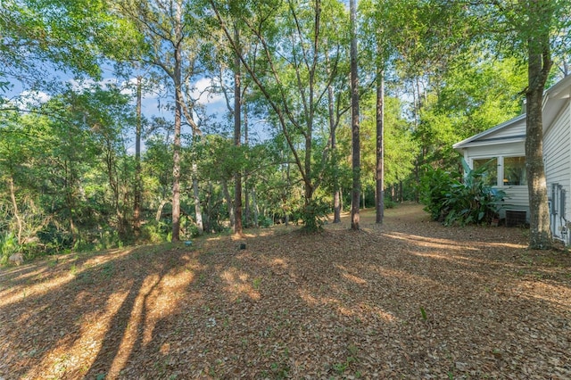 4000 Rouse Rd, Orlando, FL 32817 - view of yard