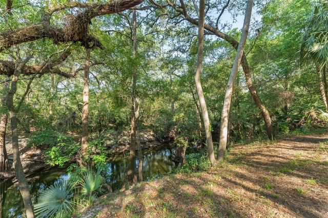 4000 Rouse Rd, Orlando, FL 32817 - view of nature