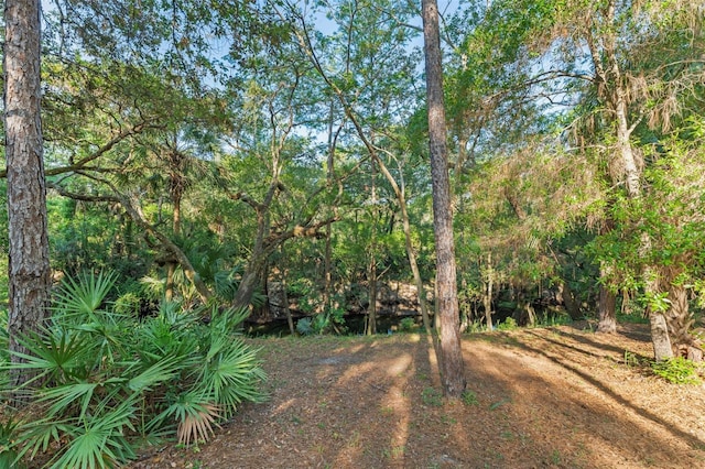 4000 Rouse Rd, Orlando, FL 32817 - view of yard