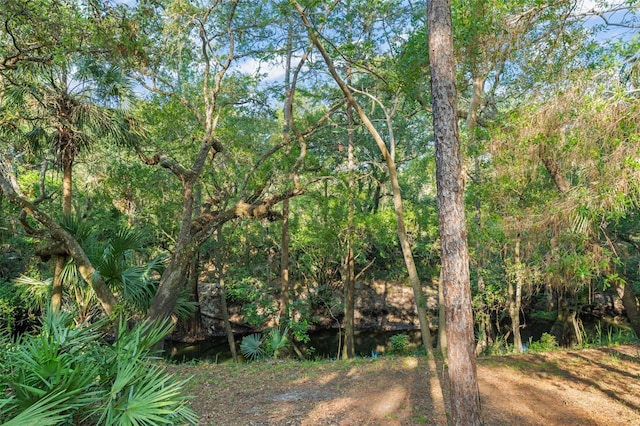 4000 Rouse Rd, Orlando, FL 32817 - view of nature